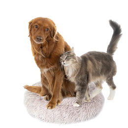 DEFACTO Hundebett in Leinenoptik mit erhöhten Rändern und rutschfester Unterseite Grau XXL – Bild 1 von 3