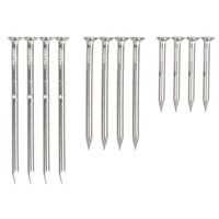 Produktbild von degawo 12er Set Baumfreundliche Aluminium Nägel in Silber für Wildvogel Nistkästen und Futterhäuser