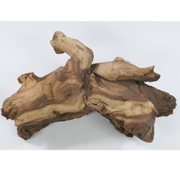Deggelbam Mopani Wurzel Eisenholzwurzel für Aquarium und Terrarium Größe S 10-20cm – Bild 1 von 13