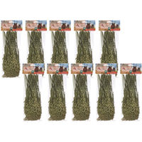 Produktbild von Dehner Best Nature Knabberzweige Nagersnack für Kaninchen, Meerschweinchen, Hamster und Degus in verschiedenen Sorten