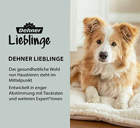 Dehner Lieblinge 2 in 1 Zupfbürste zur Hunde- und Katzenfellpflege aus Bambus und Kunststoff in Braun 23,5 x 7 cm – Bild 1 von 2