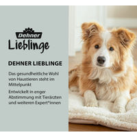 Produktbild von Dehner Lieblinge Softbürste aus Bambus zur Fellpflege für Hunde und Katzen 19,5 x 12 cm - 1 Stk.
