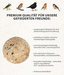 Dehner Natura Meisenknödel Insektenknödel Wildvogelfutter Ganzjährig 9 kg – Bild 1 von 4
