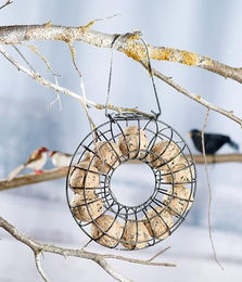 Dehner Natura Meisenknödel Wildvogelfutter zur ganzjährigen Fütterung 2,7 kg – Bild 1 von 6