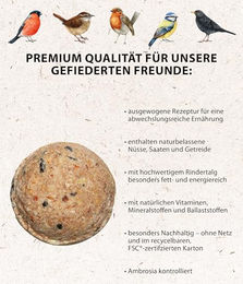 Dehner Natura Premium Meisenknödel Wildvogelfutter ganzjährig 2,7 kg – Bild 1 von 5