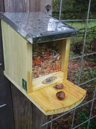 Deko-Impression Eichhörnchen Futterhaus aus Holz und Metall inklusive 500 g Futter - 500 g – Bild 1 von 4