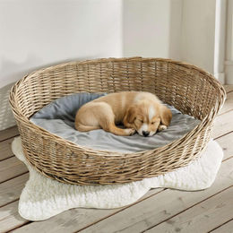 Dekoleidenschaft Hundekorb Koboo Grey aus Weide XL 90x70 cm mit Kissen in Grau – Bild 1 von 10
