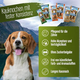 DeliBest DentaBone Kauknochen für Hunde mit Straußenfleisch glutenfrei 100 g - 100 g – Bild 1 von 9