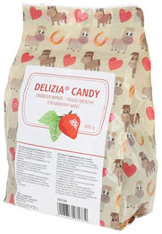 Produktbild von Delizia Belohnungswürfel Erdbeere Minze für Pferde mit Früchten und Kräutern 600g - 600 g