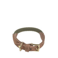 Produktbild von Denjo Dogs Torekov Hundehalsband aus Nylon und Leder in Shimmer Green Größe XS 25-30cm