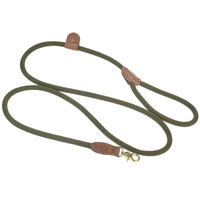 Produktbild von Denjo Dogs Torekov Hundeleine aus Nylon und Leder in Shimmer Green 180cm