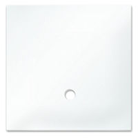 Produktbild von Dennerle 5894 Abdeckscheibe aus Glas für Nano Cube 20 L Transparent