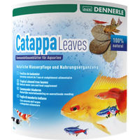 Produktbild von Dennerle Catappa Leaves Seemandelbaumblätter zur Wasseraufbereitung für Fische Garnelen und Krebse 10 Stück - 10 Stk.