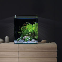 Dennerle Nano Cube Basic Aquarium 60 Liter mit LED-Leiste transparent – Bild 1 von 3