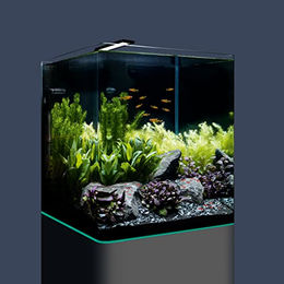 Dennerle Nano Cube Complete Mini Aquarium Komplettset aus Glas 60 Liter Transparent - 60 l – Bild 1 von 4