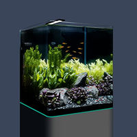 Produktbild von Dennerle Nano Cube Complete Mini Aquarium Komplettset aus Glas 60 Liter Transparent - 60 l
