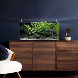 Dennerle Nano Tank Complete 60 L Aquarium Set – Bild 1 von 2