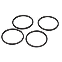 Produktbild von Dennerle O-Ringe für Scapers Flow Schwarz
