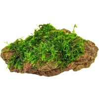 Produktbild von Dennerle Plants Moosstein Grün 7 x 4 x 5 cm