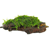Produktbild von Dennerle Plants Mooswurzel Naturholz für Süßwasser Aquarien 10 x 3 x 4 cm