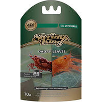 Produktbild von Dennerle Shrimp King Dadap Leaves Indische Korallenbaumblätter als Laubfutter für Garnelen und Krebse 10 Stück