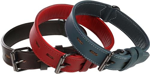 Denver Flamingo Hundehalsband gepolstert und breit Rot S/M 35mm – Bild 1 von 5