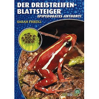 Produktbild von Der Dreistreifen-Blattsteiger Epipedobates anthonyi Buchreihe Art für Art Terraristik NTV Natur und Tier-Verlag