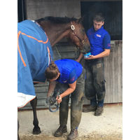 Produktbild von Derby Horslyx Mini Original Leckpaste für Pferde 650 g - 650 g