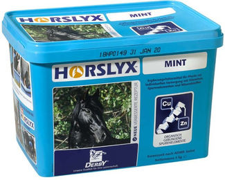 Produktbild von Derby Horslyx Mint Ergänzungsfutter für Pferde mit Minze zur Unterstützung von Atemwegen und Immunsystem 1 kg