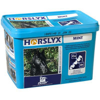 Produktbild von Derby Horslyx Mint Ergänzungsfutter für Pferde mit Minze zur Unterstützung von Atemwegen und Immunsystem 1 kg