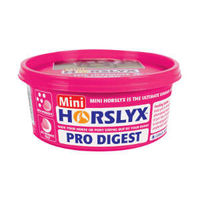 Produktbild von Derby Horslyx Pro Digest Leckmasse Ergänzungsfutter für Pferde zur Unterstützung der Verdauung 650 g - 650 g