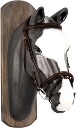 Produktbild von Derby Pferdezaumzeug Full mit Baumwollzügeln in Braun