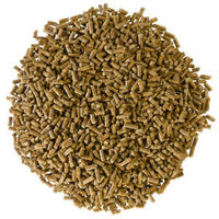 Produktbild von Derby Vital Pellets Pferdefutter zur Unterstützung von Muskelaufbau sowie Haut und Fell für Sportpferde und Zucht - 25 kg