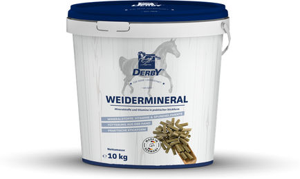 Derby Weidemineral Ergänzungsfutter für Pferde 10 kg – Bild 1 von 2