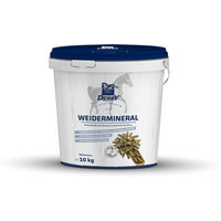 Produktbild von Derby Weidemineral Ergänzungsfutter für Pferde 10 kg