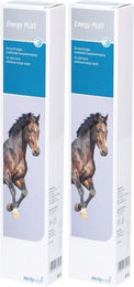 Derbymed Energy Plus Injektor Liquid Nahrungsergänzung mit Vitaminen – Bild 1 von 1