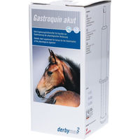 Produktbild von Derbymed Gastroquin akut Liquid zur Unterstützung von Magen-Darm und Immunsystem 240 ml - 4 x 60 ml