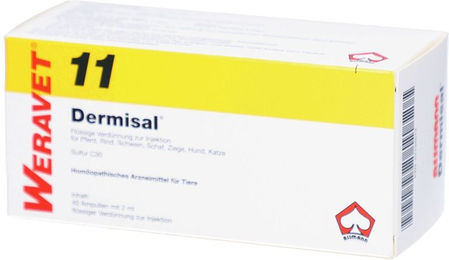 Produktbild von Dermisal 11 vet Ampullen