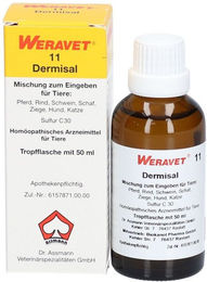 Dermisal 11 vet Tropfen Haut-Fell-Supplement zur Unterstützung von Haut und Fell – Bild 1 von 1