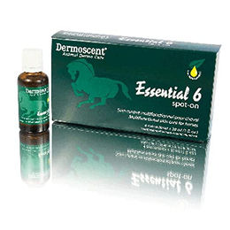 Produktbild von Dermoscent Essential 6 Spot-On für Pferde 4x30ml