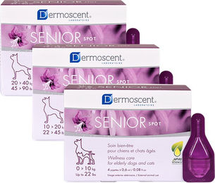 Dermoscent Senior Spot-On für große Hunde 20 - 40 kg mit 4 Pipetten – Bild 1 von 2