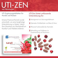 Produktbild von Dermoscent UTI-Zen Kautabletten mit Cranberry zur Unterstützung der Harnwege für Hunde und Katzen 40 Stück