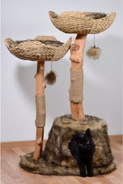 Design-Kratzbaum Tony für Katzen aus Naturholz in Braun mit Jute-Kratzsäule – Bild 1 von 9