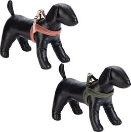 Designed by Lotte Hundegeschirr Velours Grün Größe S 20 mm x 52 cm – Bild 1 von 2