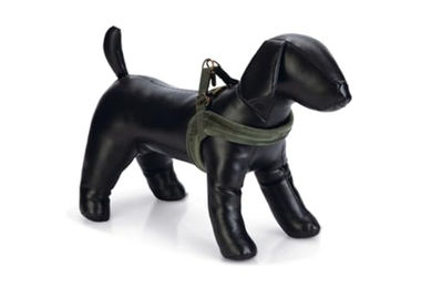 Designed by Lotte Hundegeschirr Velura Grün Größe L Brustumfang 62 cm – Bild 1 von 2
