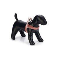 Produktbild von Designed by Lotte Hundegeschirr Velura Rosa Größe S mit 52 cm Brustumfang