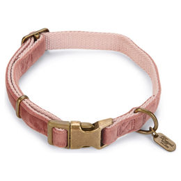 Designed by Lotte Hundehalsband Velours Rosa 26-40 cm - 2000 g – Bild 1 von 2