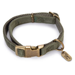 Designed by Lotte Hundehalsband Velura Grün 35-50 cm - 2000 g – Bild 1 von 3
