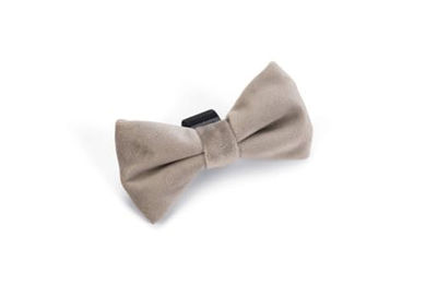 Designed by Lotte Hundehalsband Zaza aus Samt in Grau 9x5x1 cm – Bild 1 von 1