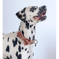Produktbild von Designed by Lotte Hundehalsband Zaza Halstuch aus Velours in Rosa